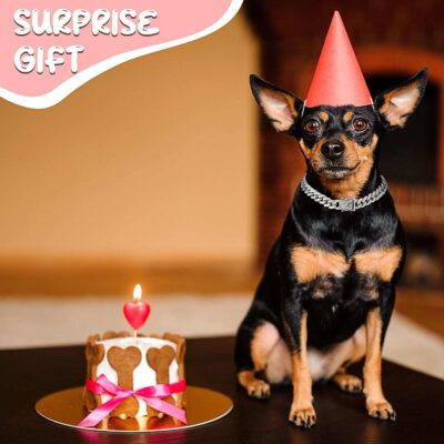 Metal Chain Crystal Collar Necklace Sparkly Pet Jewelry Accessories For Dogs Cats 19 - teedoges 31a1375f a3de 453b 9ef4 ae26da7fef57 - teedoges