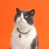 Velvet Halloween Pet Collar Gothic Bat Dripping Design Adjustable Kitten Choker