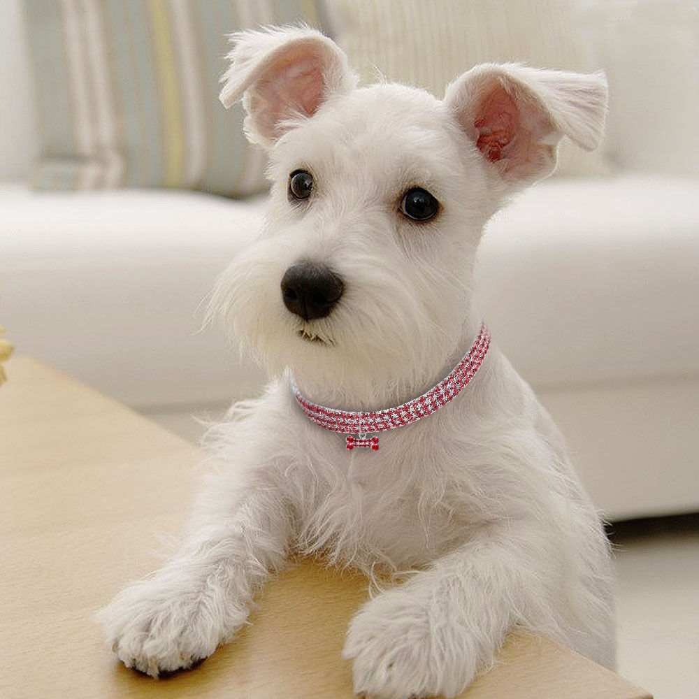Crystal Bling Rhinestone Dog Collar Adjustable Pet Jewelry For Small Medium Dogs 4 - teedoges Crystal Bling Rhinestone Dog Collar Adjustable Pet Jewelry For Small Medium Dogs - Image 4